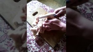 Как разделать бычьи яйца