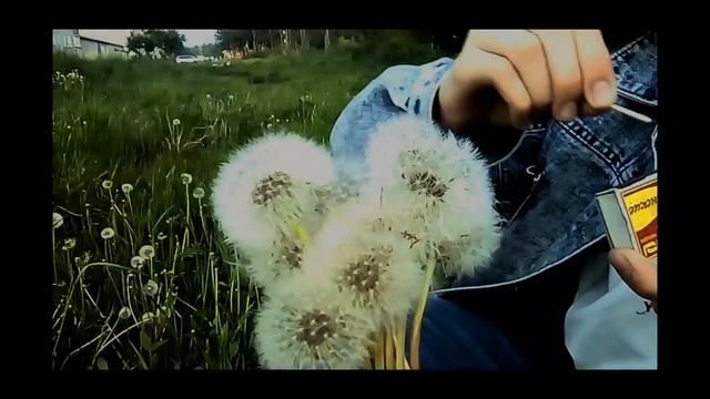 Как жить? смотреть онлайн