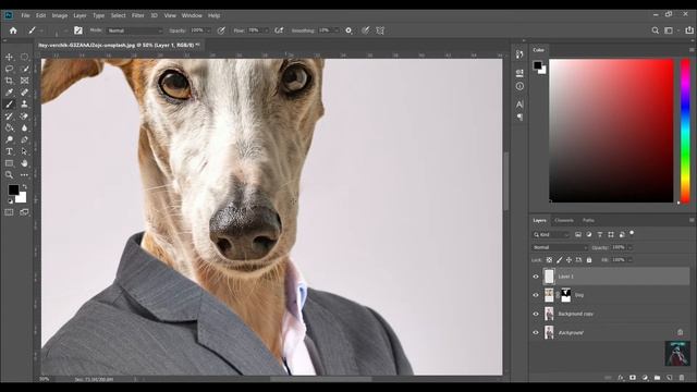 How to Replace Human Head with Any Animal Head in Photoshop смотреть онлайн