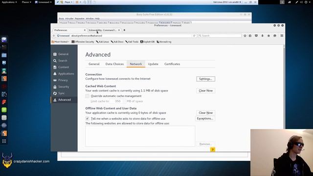 DVWA - Command Injection смотреть онлайн