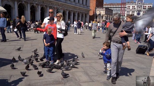 St Mark's Square - Piazza San Marco Venice 4K смотреть онлайн