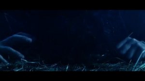 Гефсиманский сад. о. Олег Скобля