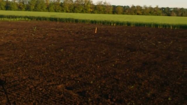 Нерадивые фермеры травят пчел у пчеловодов смотреть онлайн