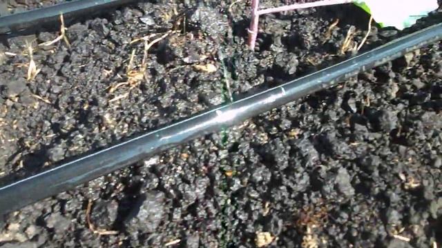 правда о капельной ленте. смотреть онлайн