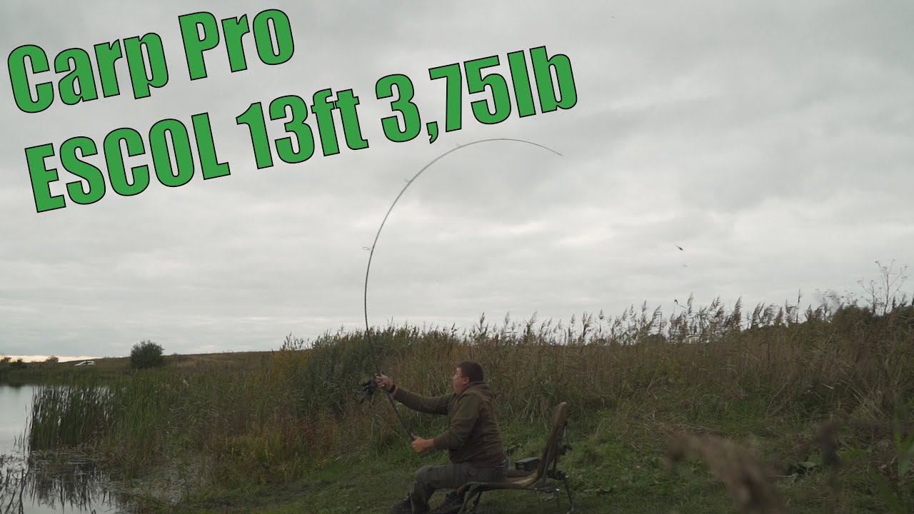 ЗАБРОС НА 130М СИДЯ! ПОЛНЫЙ ОБЗОР КАРПОВОГО УДИЛИЩА CARP PRO ESCOL! смотреть онлайн