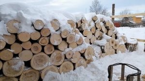 Ура! Закончили пилить 4 лесовоза дров.Впереди работа ещё сложнее-расколоть и сложить)))Топим теплиц