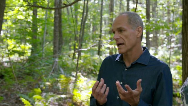 Marcelo Gleiser: The Aesthetics of the Imperfect смотреть онлайн