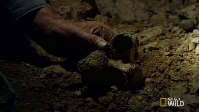 10 НЕВЕРОЯТНЫХ АРХЕОЛОГИЧЕСКИХ НАХОДОК смотреть онлайн