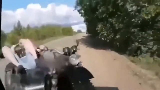 Итс май лайф смотреть онлайн
