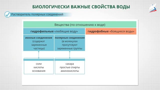 Неорганические соединения клетки. Углеводы и липиды. Регулярные и нерегулярные биополимеры смотреть онлайн