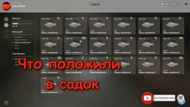 Русская рыбалка 4(рр4) - река Сура. Карась. смотреть онлайн