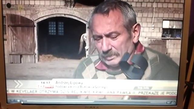 Pomóżmy uratować konie !!!!! смотреть онлайн