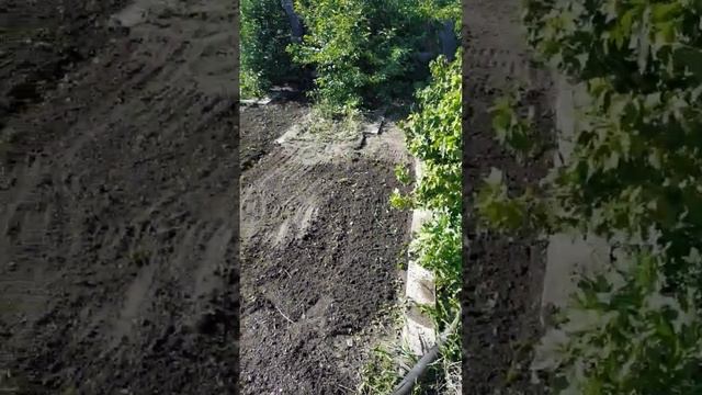 подготовили землю под черную и зелёную редьку смотреть онлайн