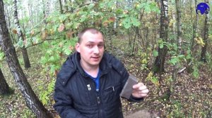 Как вырастить гриб трюфель?