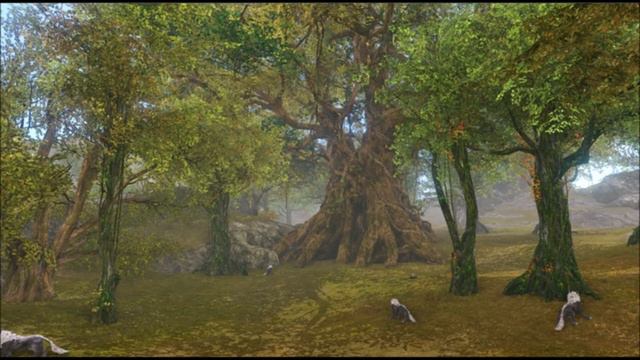 ArcheAge OST - Wildflower Forest смотреть онлайн