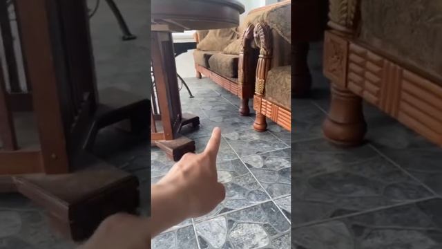 В доме завелись ЗМЕИ? Что делать? Часть 1! Подпишись?? смотреть онлайн