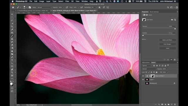 Spot Color in Adobe Photoshop смотреть онлайн