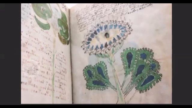 Монахи иезуиты и тайна Войнича смотреть онлайн