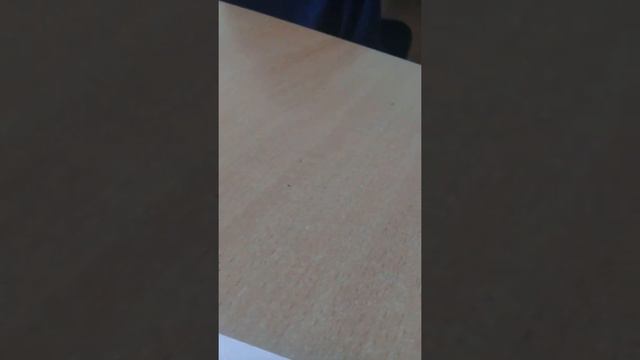 Снимал видео на уроке. Учитель не спалил. Почему? смотреть онлайн