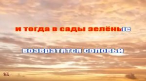 Россия. Караоке на армейскую песню.