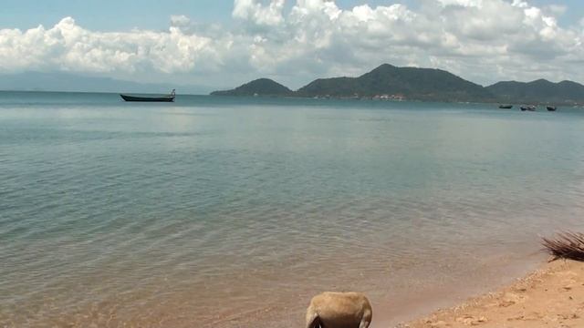 Камбоджа Заячий остров_Cambodia_Rabbit_Island смотреть онлайн