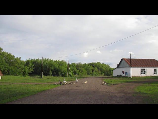 Посёлок Александровский, Балашовский район