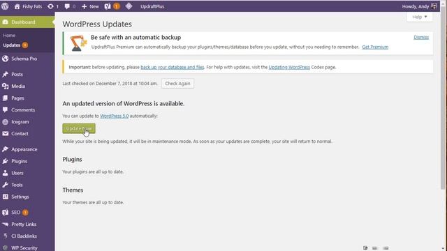 WordPress 5 update смотреть онлайн