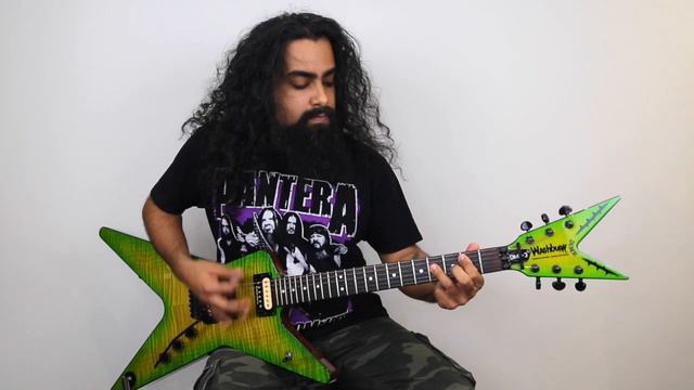 Tribute to Dimebag Darrell - Pantera Riff Medley | Washburn Dime 3 Slime смотреть онлайн