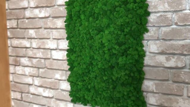 Панель 50*70 из ягеля цвет 1 смотреть онлайн