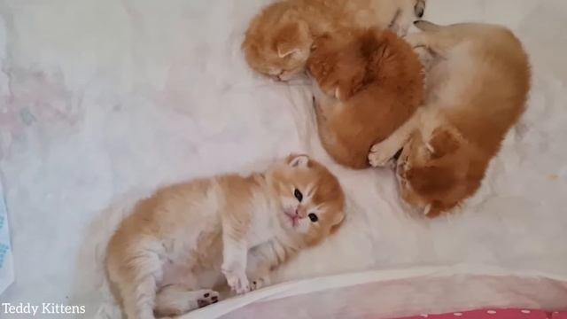 Как перестать загоняться из-за внешности смотреть онлайн