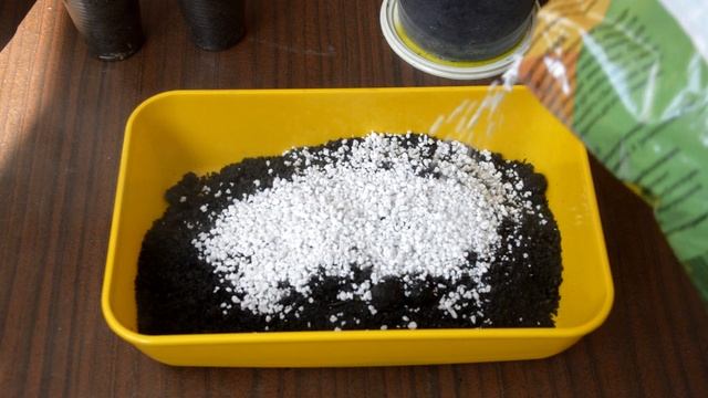 Грунт для кактусов и суккулентов. Как сделать самим? смотреть онлайн