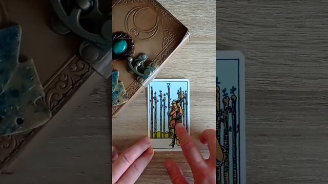 KARTA NA DZIEŃ ✨ 28.08.2023 ✨ DZIEWIĄTKA BUŁAW #tarot #kartanadzień #rozkladtarota смотреть онлайн