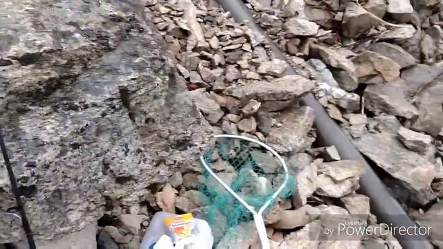 на рыбалку за форелью. ВАШИНГТОН. видео 1 смотреть онлайн