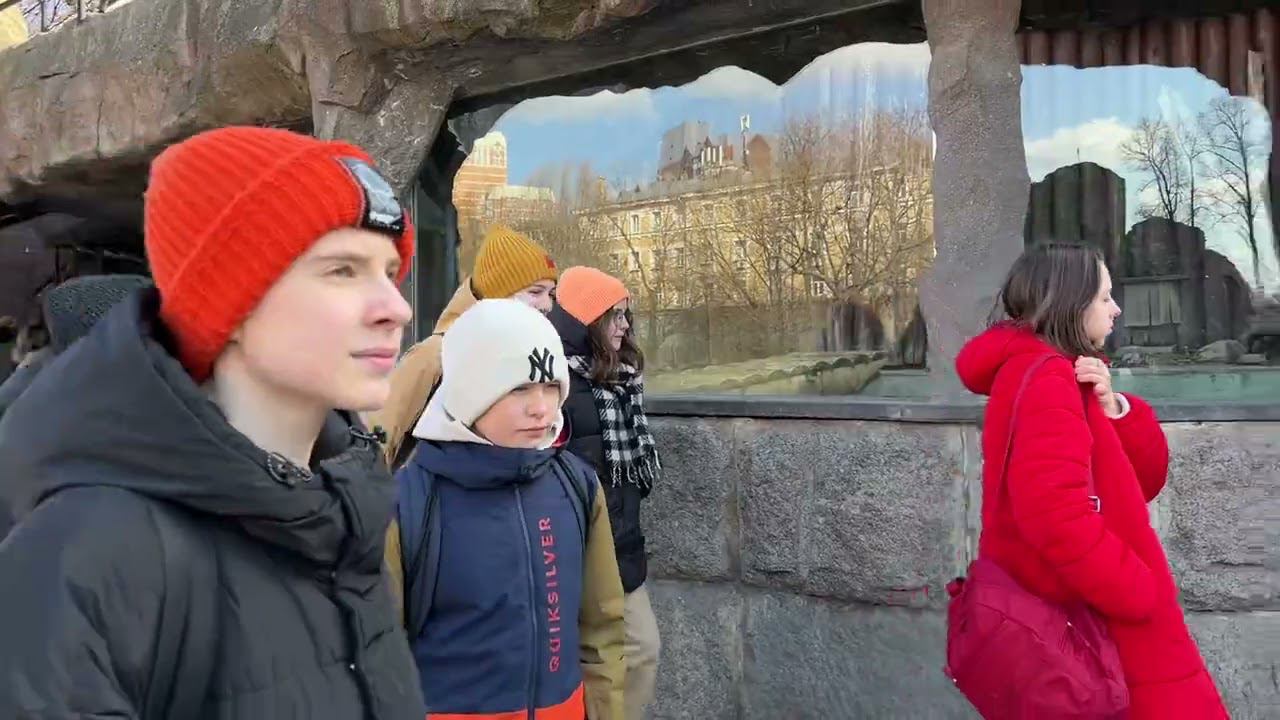 в гостях у Панды смотреть онлайн