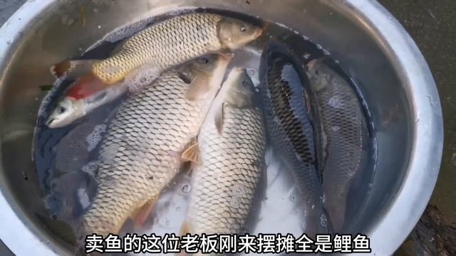 小夥趕集賣野貨，價格超便宜，8斤重的大鯉魚5元1斤【石頭記事】 смотреть онлайн
