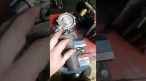 Прамотроник 4Д-24 ревизия