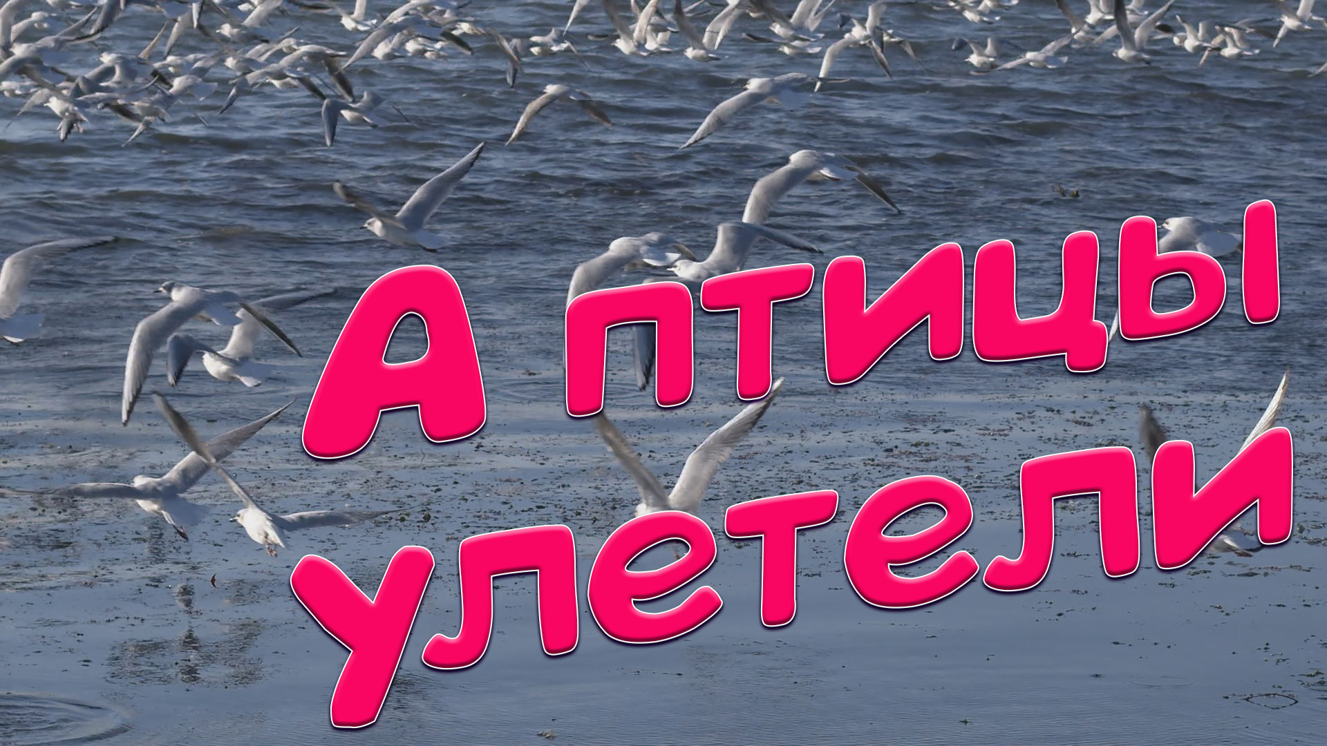 А птицы улетели Сергей Одинцов смотреть онлайн