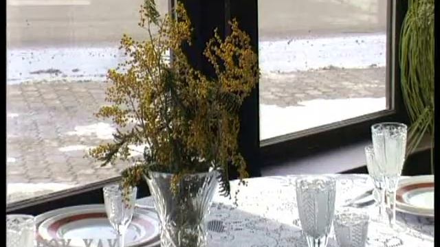 Где любит лежать кошка. Геопатогенные зоны. Даже не сомневайтесь, что они рядом с вами. смотреть онлайн