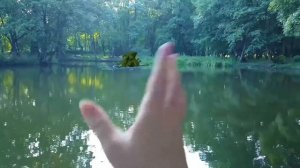 ПРИМАНКА ДЛЯ ОЗЕРНОГО МОНСТРА И ПРЯТКИ С ЗАГАДОЧНЫМ СУЩЕСТВОМ | Свинка Бузя и Кузя