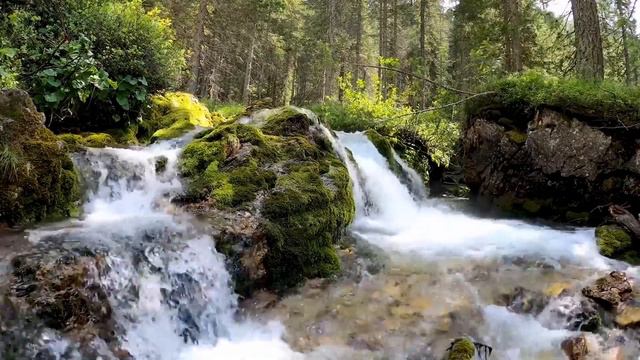 Михаил Лабковский - Как понять чего вы на самом деле хотите и начать действовать. смотреть онлайн