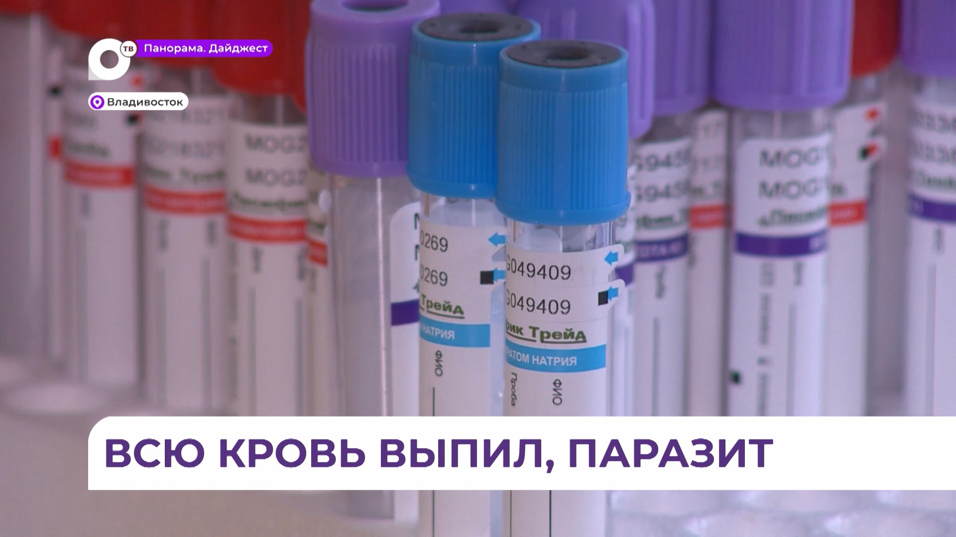 Приморские врачи рекомендуют вовремя вакцинироваться от клещевого энцефалита смотреть онлайн