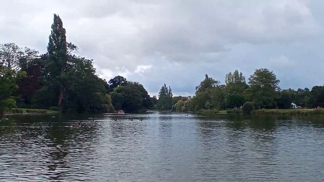 Венсенский лес. Долгожданная прогулка смотреть онлайн