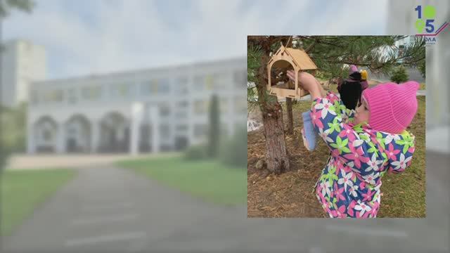 Синичкин день