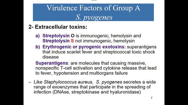 Streptococci part1 смотреть онлайн