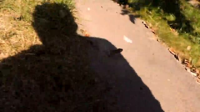 КОТИК ГАРИ ПОЙМАЛ МЫШКУ ЗА ХВОСТ смотреть онлайн