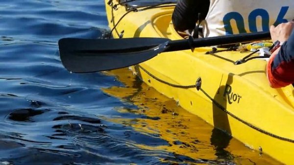 Red Fox Adventure Race 2023. Как это было? Байдарочный этап