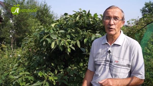 Строительное Искусство