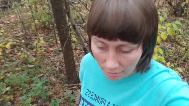 ОСІННІЙ ЛІС ??? смотреть онлайн