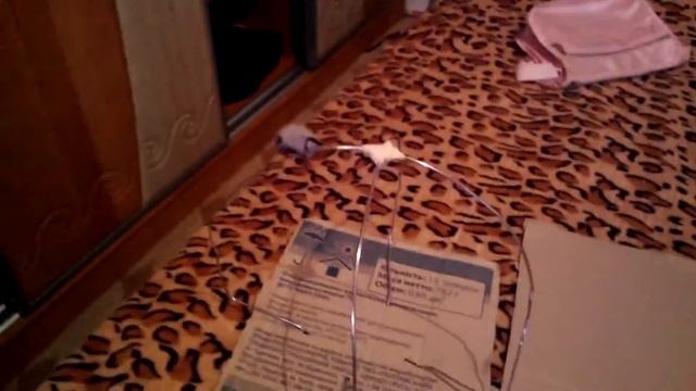 Как сделать домик для кота смотреть онлайн