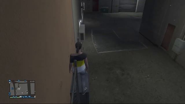 Chef Penguin - GTA V (Part 3) смотреть онлайн